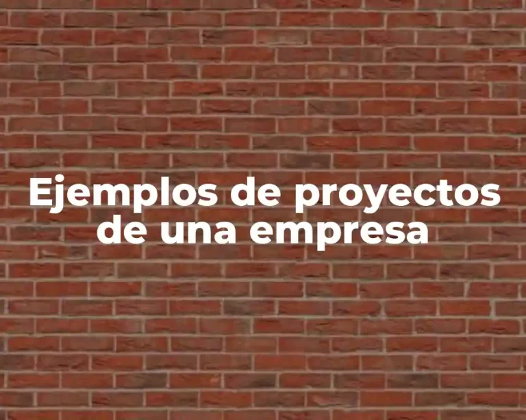Ejemplos de proyectos de una empresa