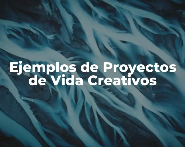Ejemplos de Proyectos de Vida Creativos
