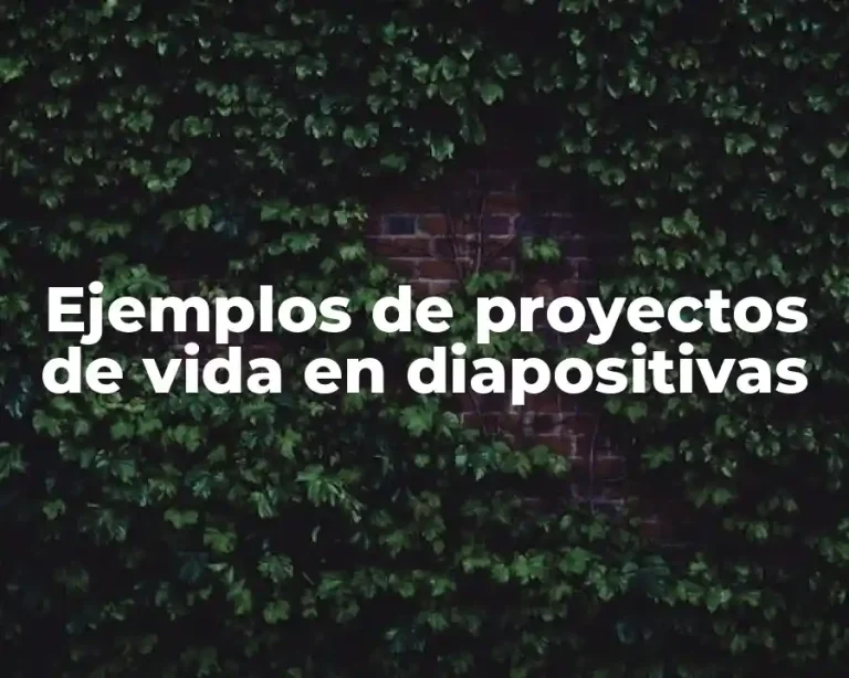 Ejemplos de proyectos de vida en diapositivas