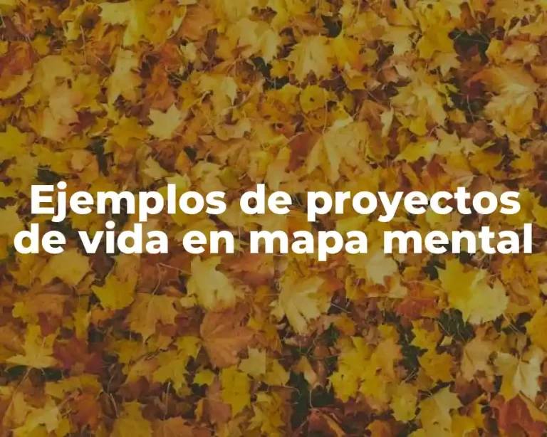 Ejemplos de proyectos de vida en mapa mental