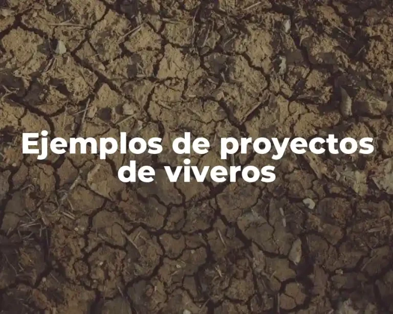 Ejemplos de proyectos de viveros