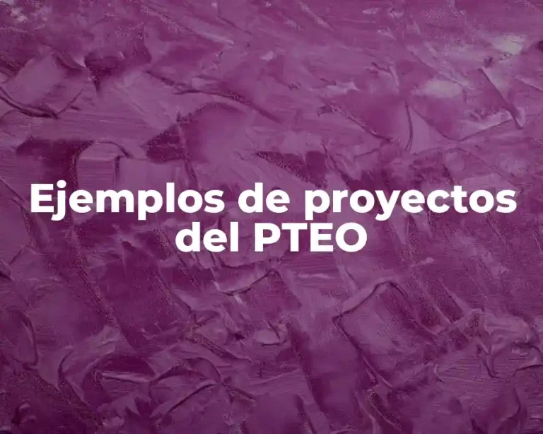 Ejemplos de proyectos del PTEO