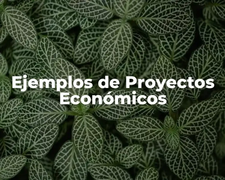 Ejemplos de Proyectos Económicos