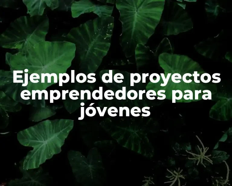 Ejemplos de proyectos emprendedores para jóvenes