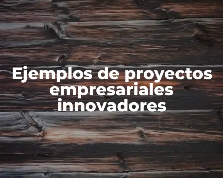 Ejemplos de proyectos empresariales innovadores