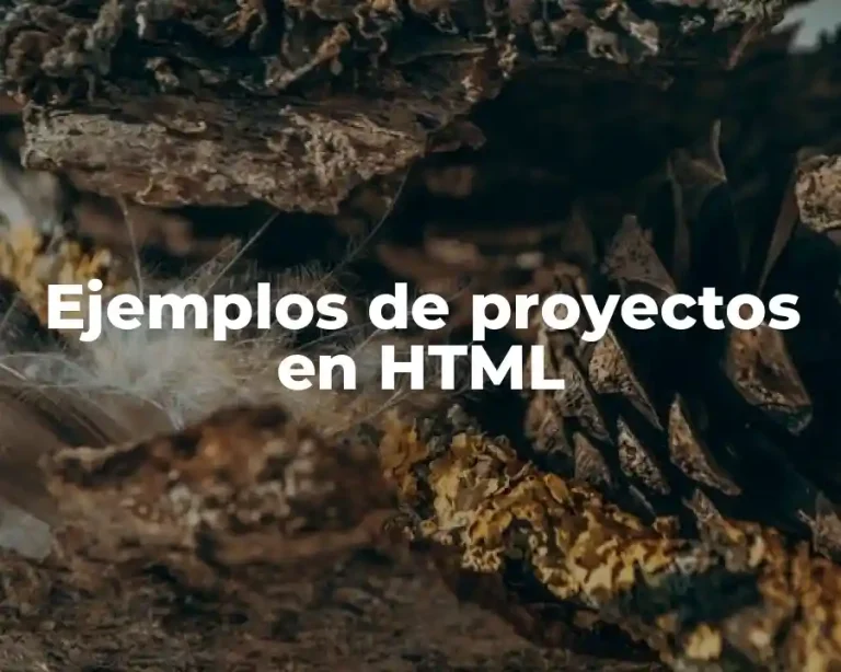 Ejemplos de proyectos en HTML