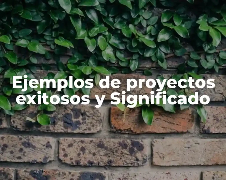 Ejemplos de proyectos exitosos y Significado