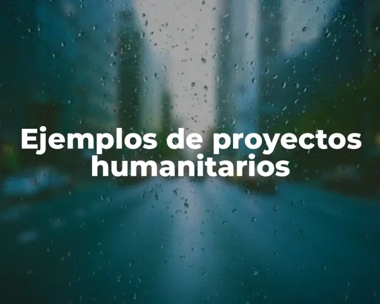 Ejemplos de proyectos humanitarios