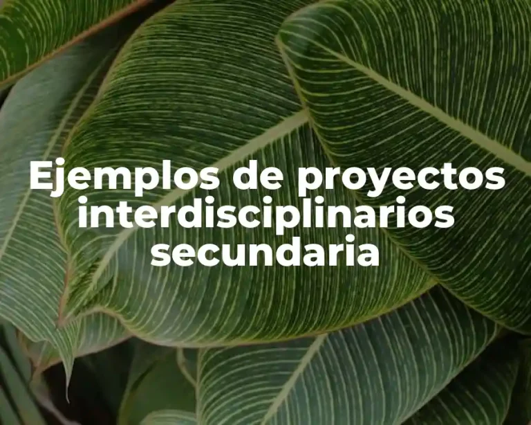 Ejemplos de proyectos interdisciplinarios secundaria