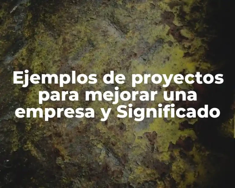 Ejemplos de proyectos para mejorar una empresa y Significado