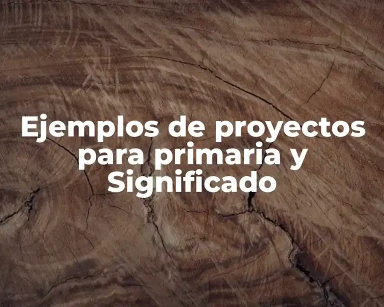 Ejemplos de proyectos para primaria y Significado
