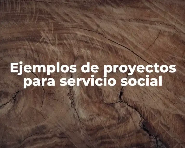 Ejemplos de proyectos para servicio social