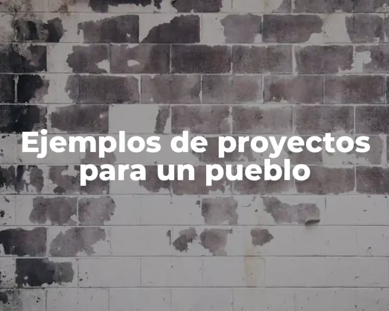 Ejemplos de proyectos para un pueblo