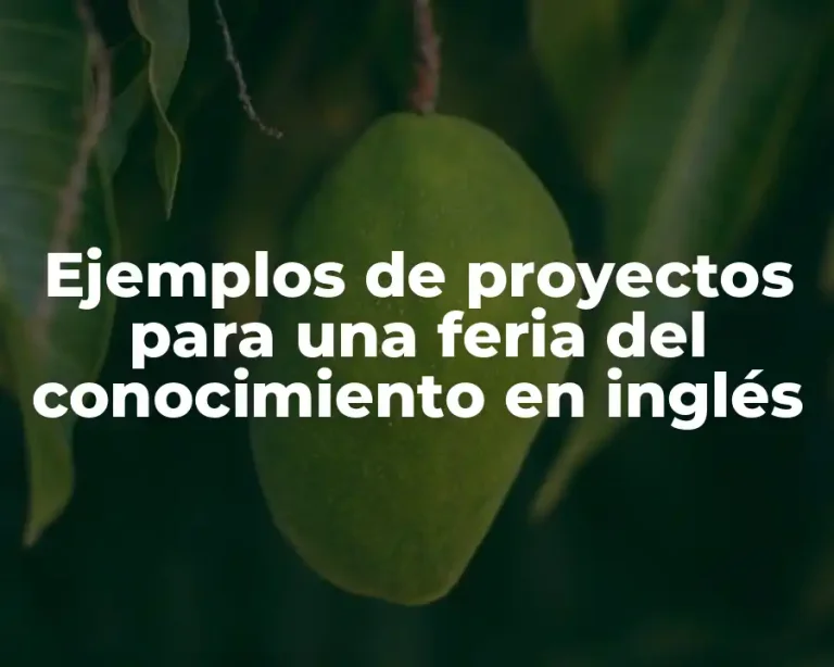 Ejemplos de proyectos para una feria del conocimiento en inglés
