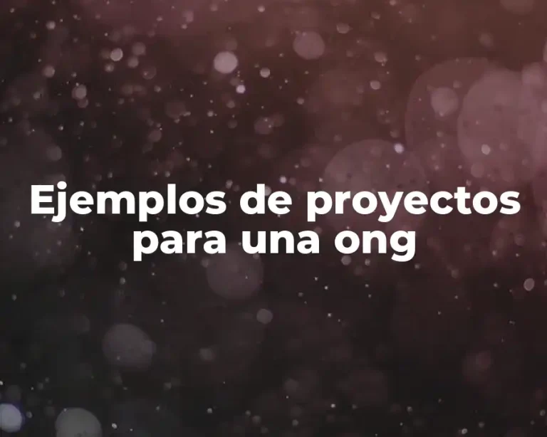 Ejemplos de proyectos para una ong