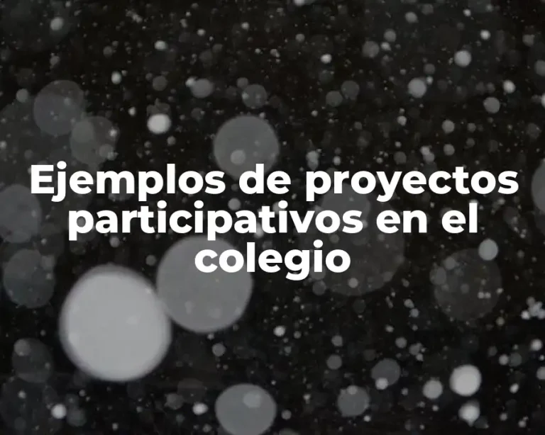 Ejemplos de proyectos participativos en el colegio