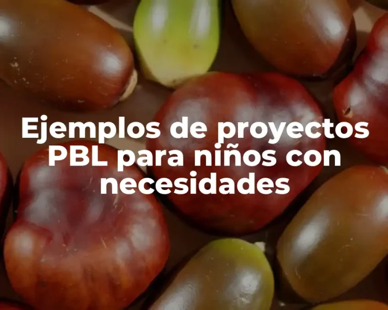 Ejemplos de proyectos PBL para niños con necesidades