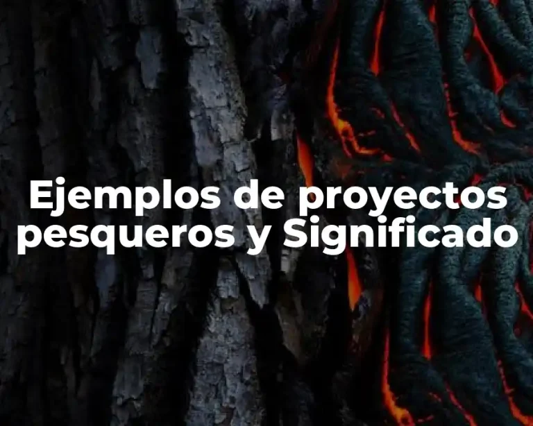 Ejemplos de proyectos pesqueros y Significado