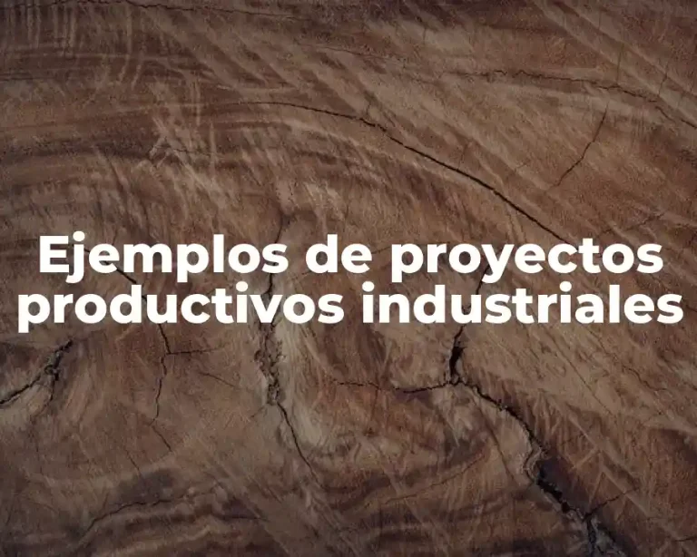 Ejemplos de proyectos productivos industriales