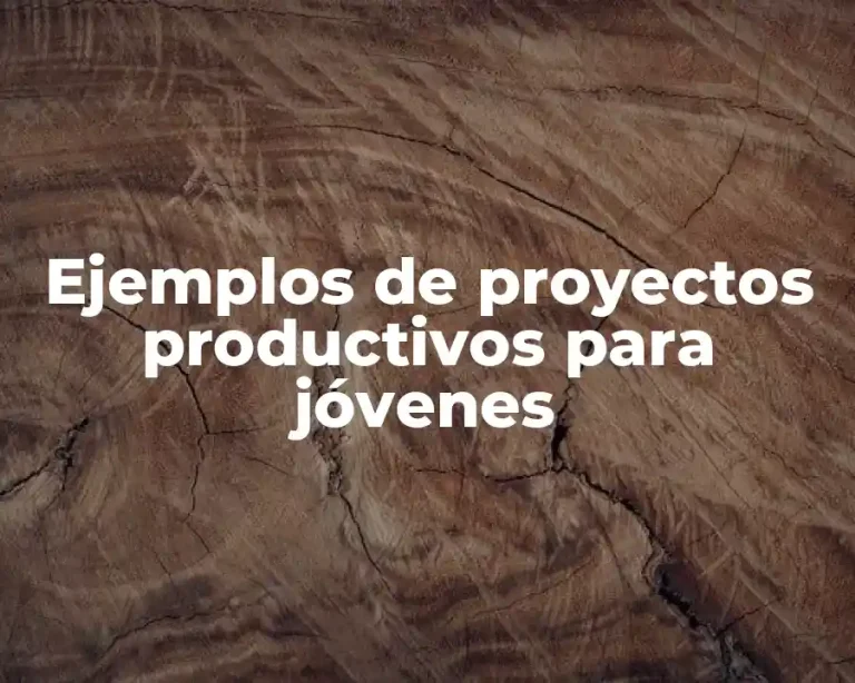 Ejemplos de proyectos productivos para jóvenes