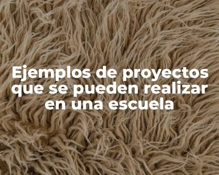 Ejemplos de proyectos que se pueden realizar en una escuela