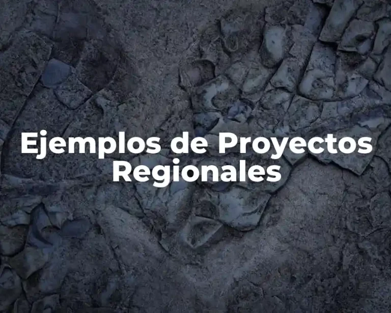 Ejemplos de Proyectos Regionales