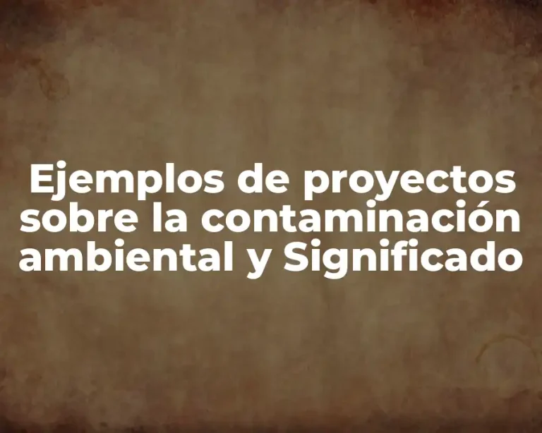 Ejemplos de proyectos sobre la contaminación ambiental y Significado