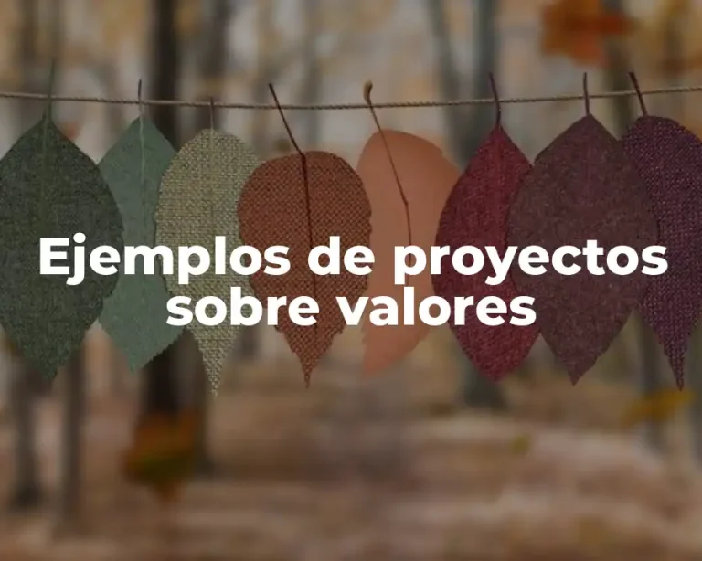 Ejemplos de proyectos sobre valores
