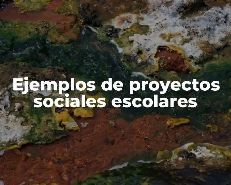 Ejemplos de proyectos sociales escolares
