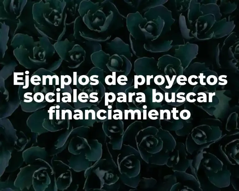 Ejemplos de proyectos sociales para buscar financiamiento