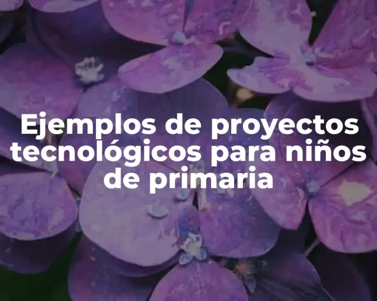 Ejemplos de proyectos tecnológicos para niños de primaria
