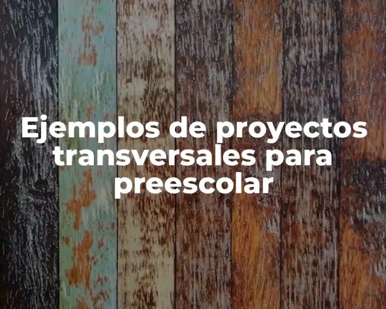 Ejemplos de proyectos transversales para preescolar