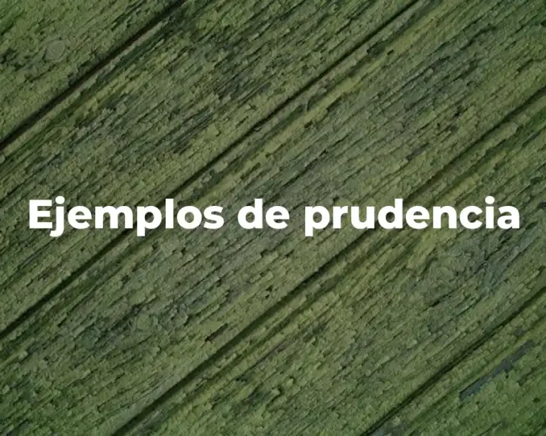 Ejemplos de prudencia