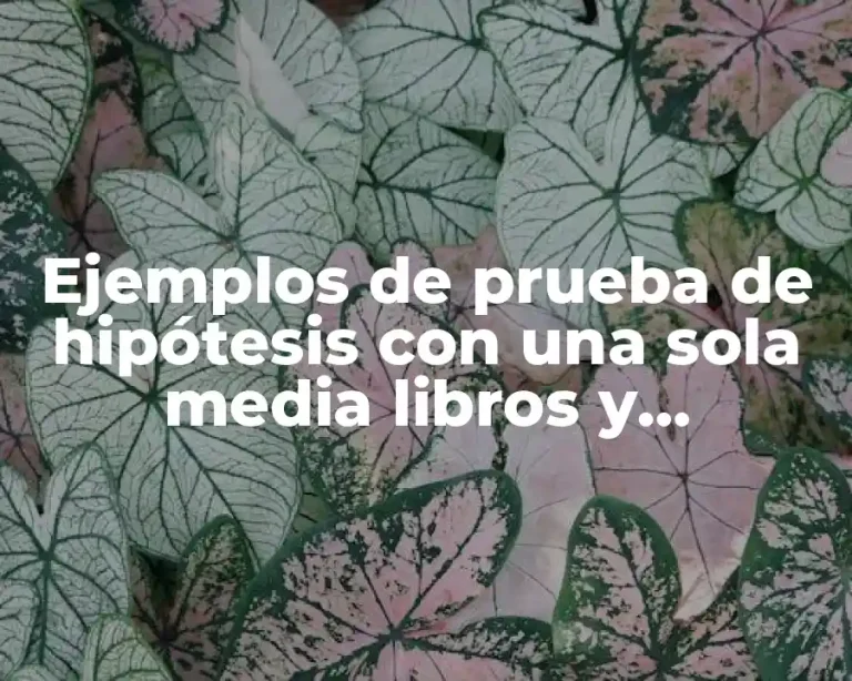 Ejemplos de prueba de hipótesis con una sola media libros y Significado