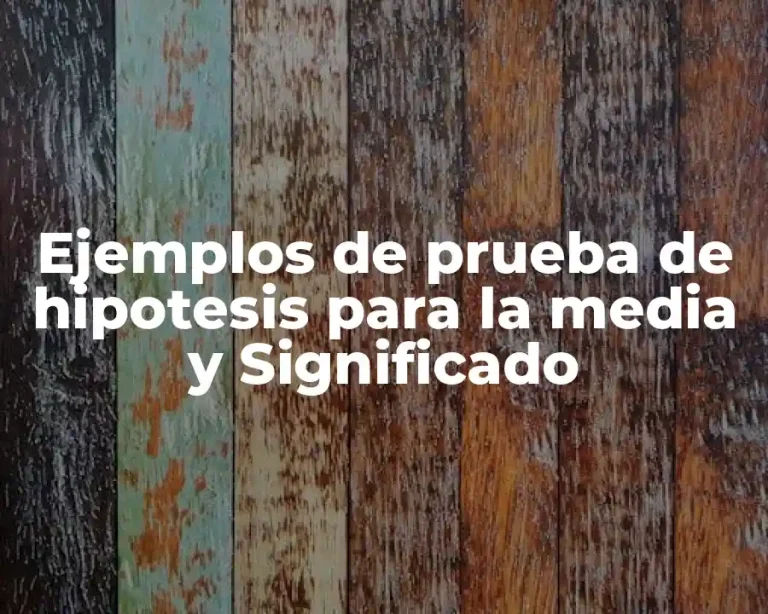 Ejemplos de prueba de hipotesis para la media y Significado