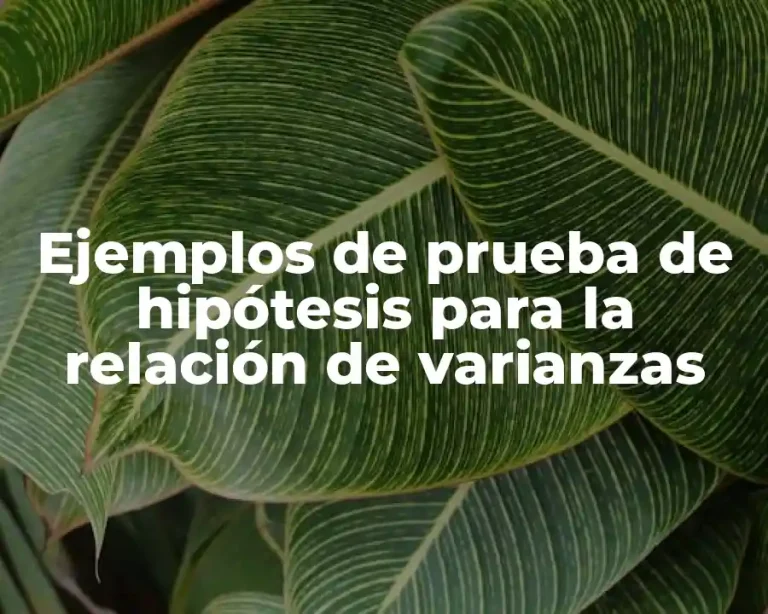 Ejemplos de prueba de hipótesis para la relación de varianzas
