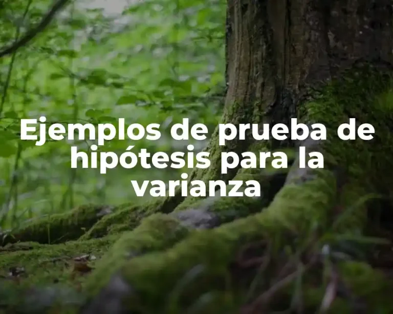 Ejemplos de prueba de hipótesis para la varianza