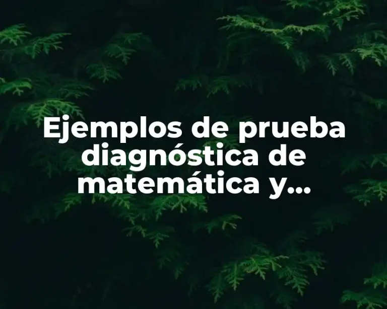 Ejemplos de prueba diagnóstica de matemática y Significado