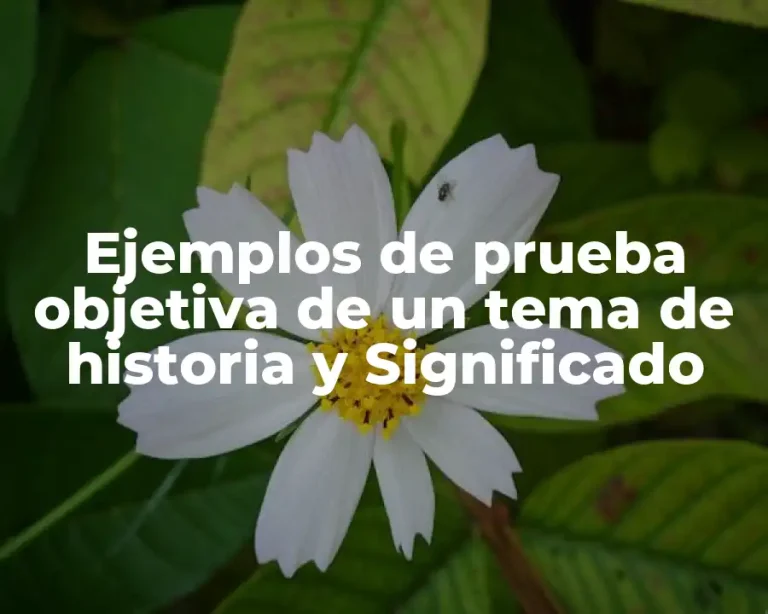 Ejemplos de prueba objetiva de un tema de historia y Significado