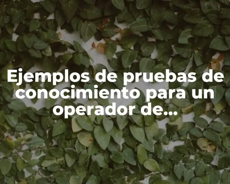 Ejemplos de pruebas de conocimiento para un operador de mantenimiento