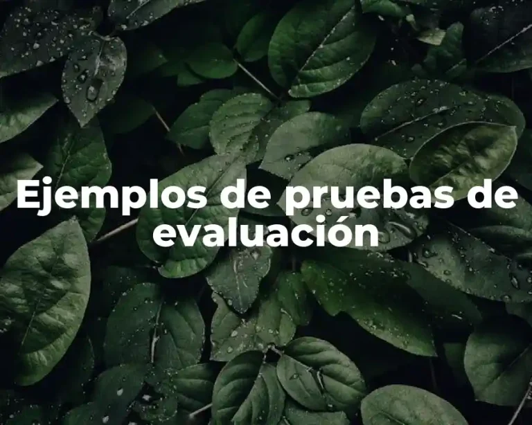 Ejemplos de pruebas de evaluación