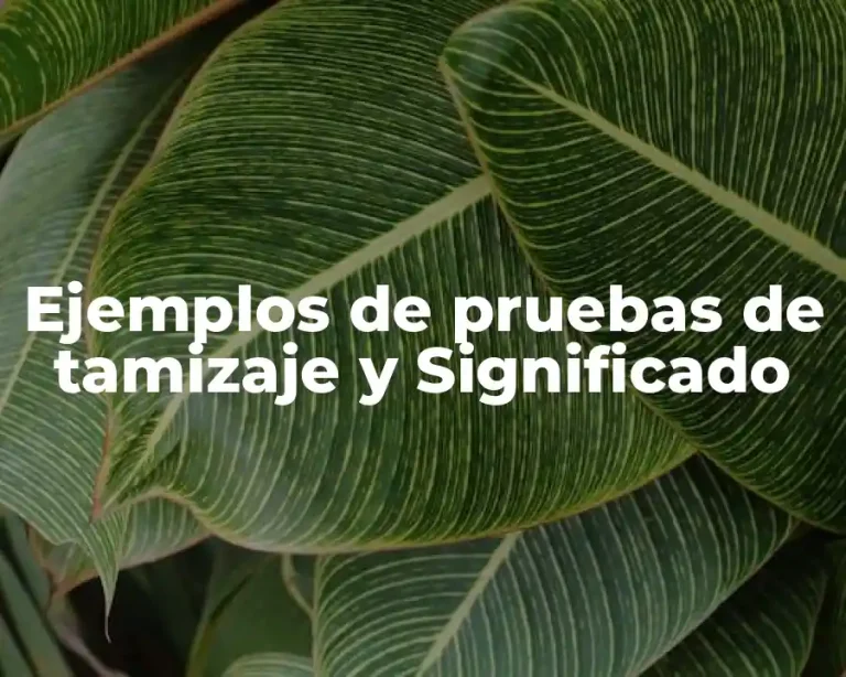 Ejemplos de pruebas de tamizaje y Significado