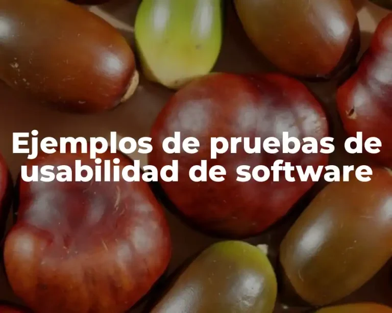 Ejemplos de pruebas de usabilidad de software