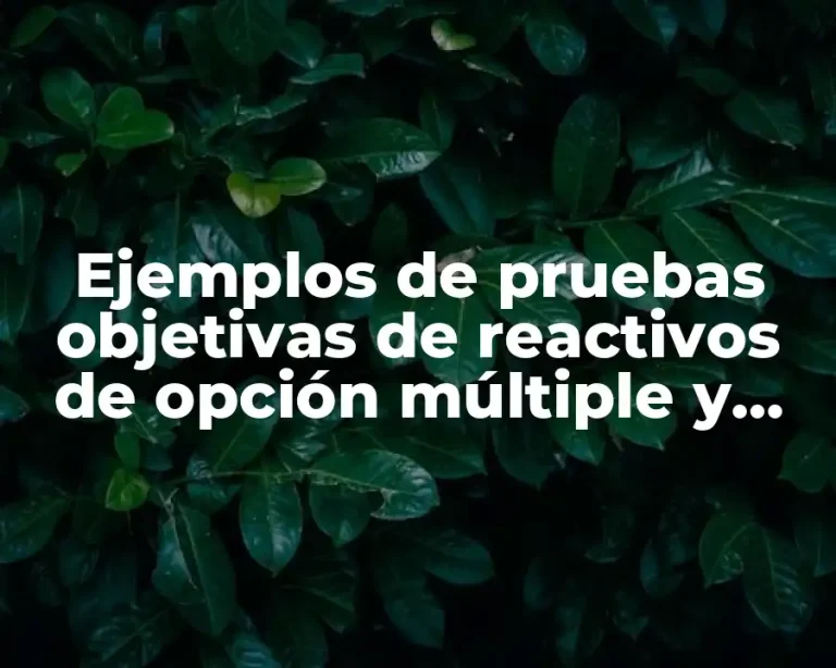 Ejemplos de pruebas objetivas de reactivos de opción múltiple y Significado