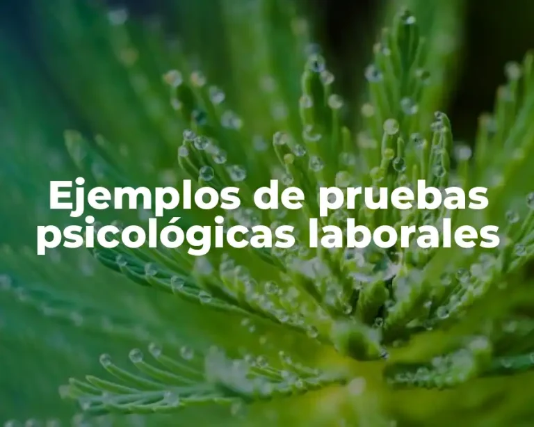 Ejemplos de pruebas psicológicas laborales