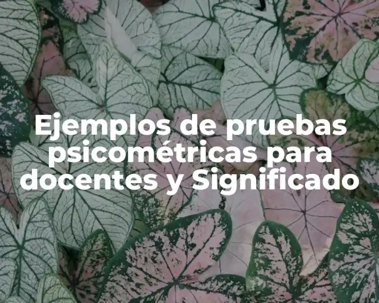 Ejemplos de pruebas psicométricas para docentes y Significado