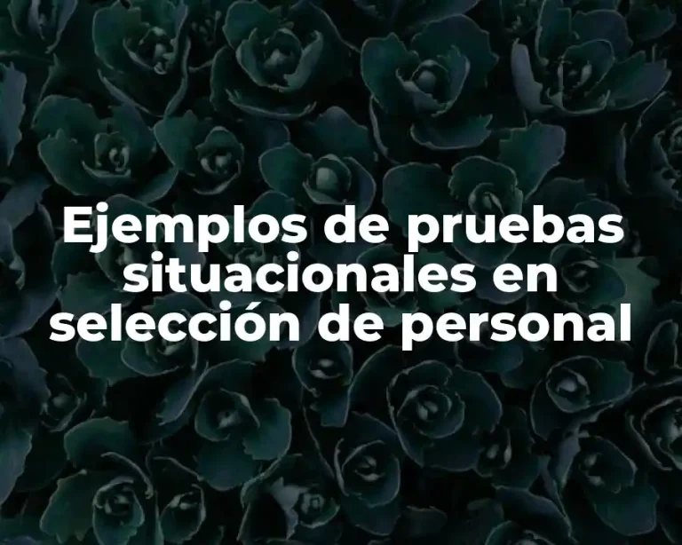 Ejemplos de pruebas situacionales en selección de personal