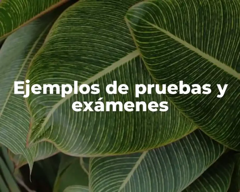 Ejemplos de pruebas y exámenes
