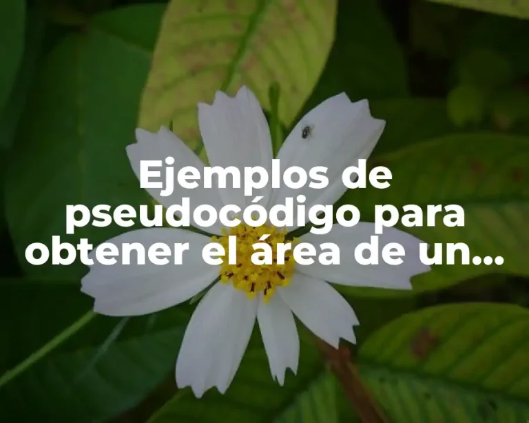 Ejemplos de pseudocódigo para obtener el área de un triángulo