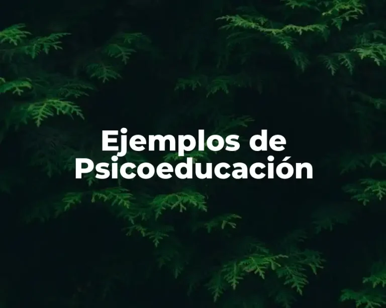 Ejemplos de Psicoeducación